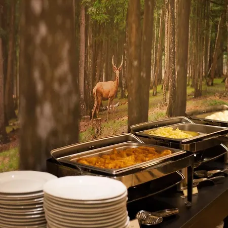 Fero Lux Hotel Korbielów